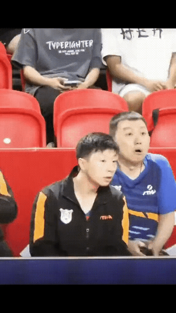 奥地利队力克法国队，马龙惊艳四座